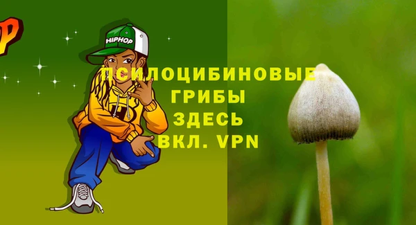 таблы Карпинск