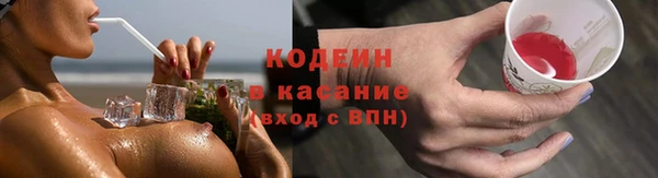 стаф Каменск-Шахтинский