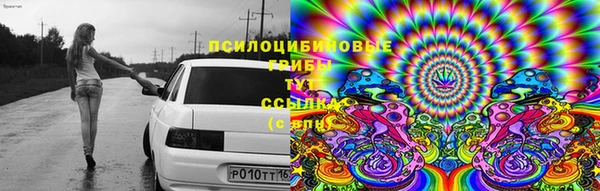 таблы Карпинск