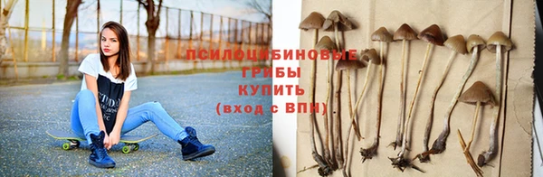 ALPHA-PVP Карталы