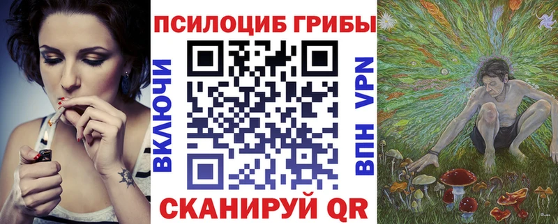 Галлюциногенные грибы Cubensis  купить   OMG сайт  Правдинск 