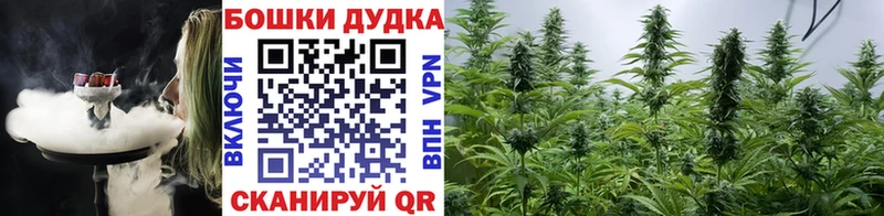 OMG зеркало  Правдинск  МАРИХУАНА сатива  купить наркотик 